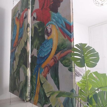 Tropical Loft Leilighet Corralejo Eksteriør bilde