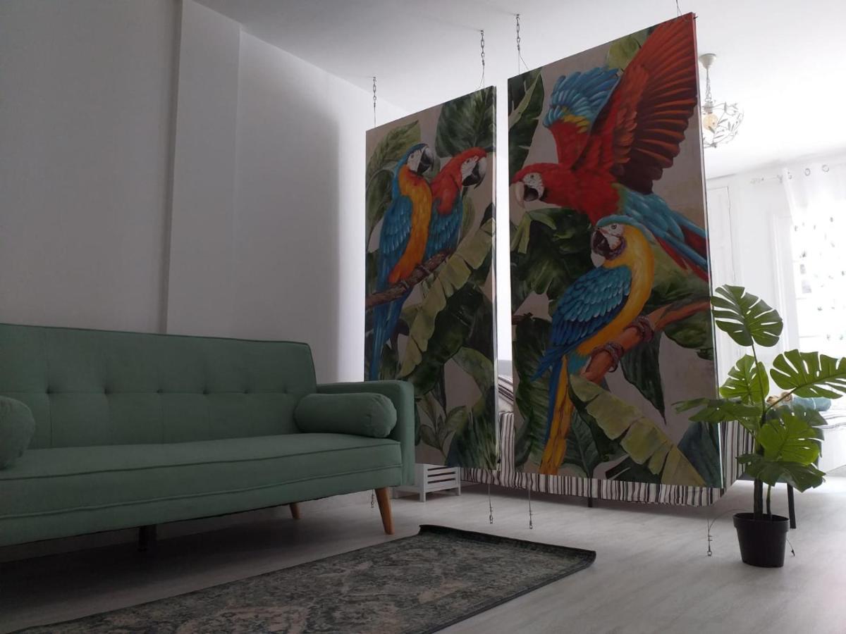 Tropical Loft Leilighet Corralejo Eksteriør bilde